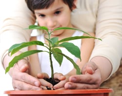 Parent/ Child planting a plant